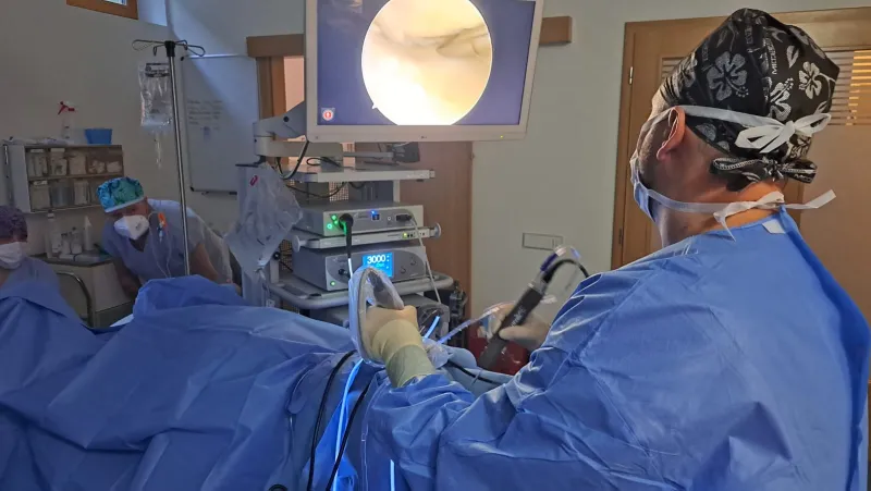 Nandana — centrum pohybové medicíny